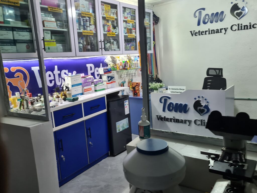 Pet Emergencies in Addis Ababa: When to Call the Vet Ambulance